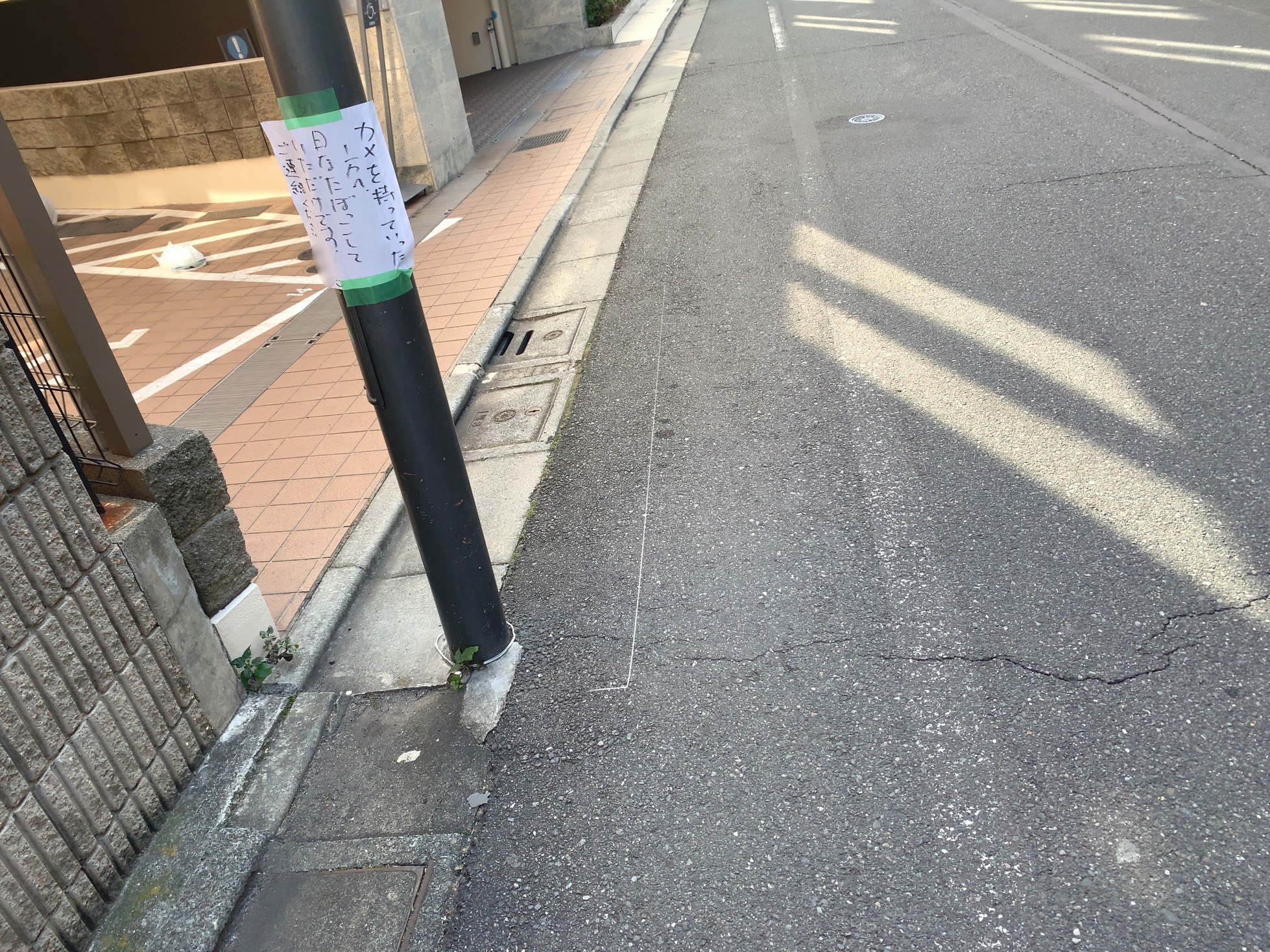 クリックで拡大(撮影:中野龍三)。