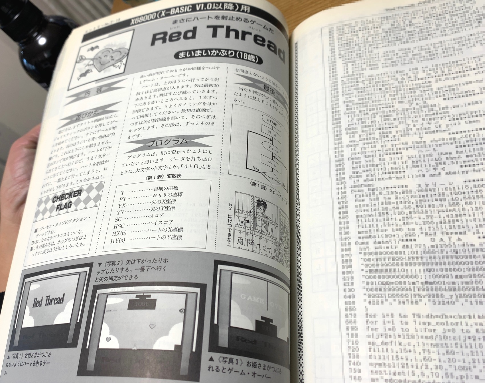 クリックで拡大(撮影:中野龍三)。