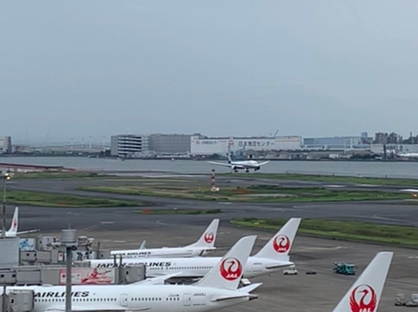 クリックで拡大(撮影:中野龍三)。