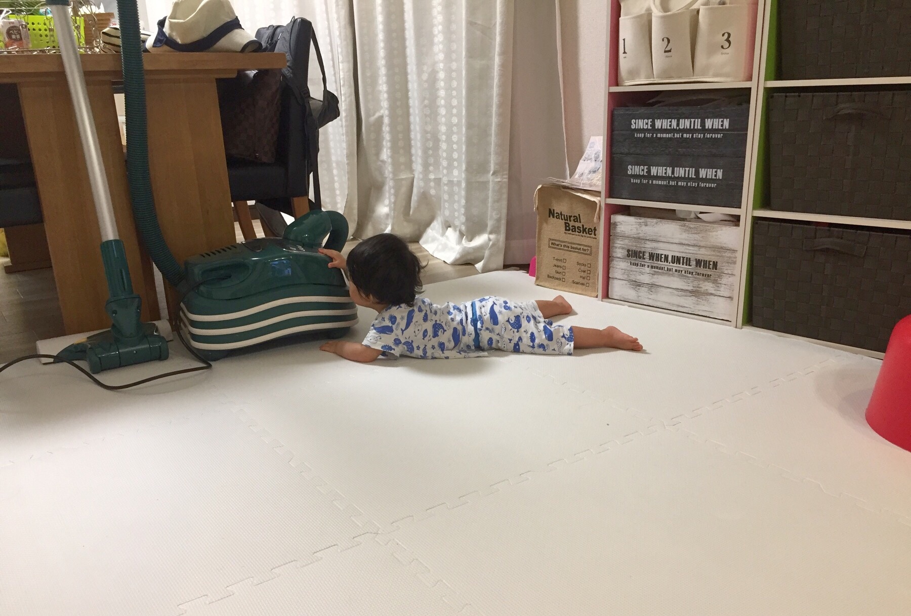 クリックで拡大(撮影:中野龍三)。