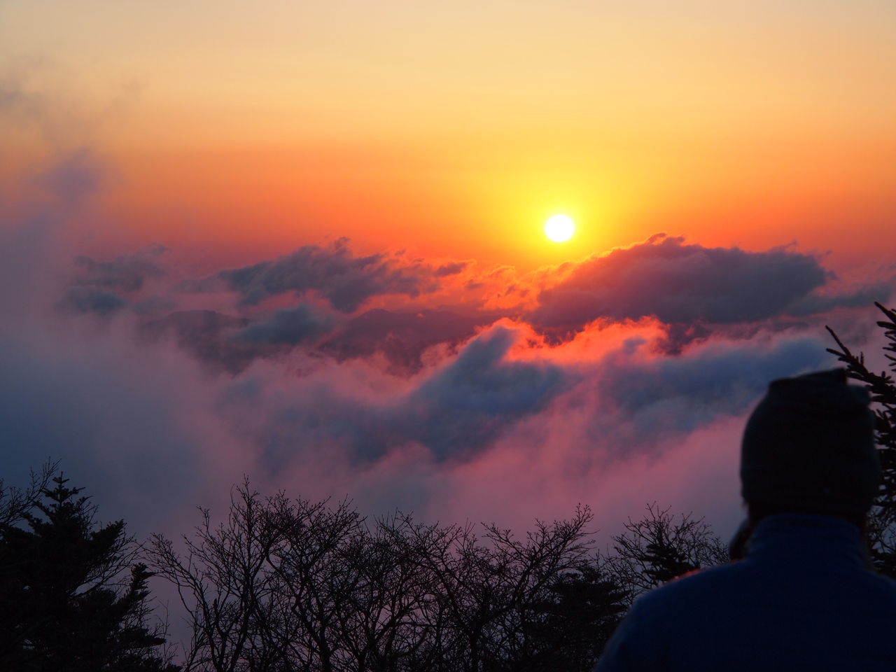 山をなめるな 神々の山嶺をめざして 最終回 八経ガ岳に散る 院長のこつこつブログ 山をなめるな 神々の山嶺をめざして 最終回 八経ガ岳に散る 院長のこつこつブログ