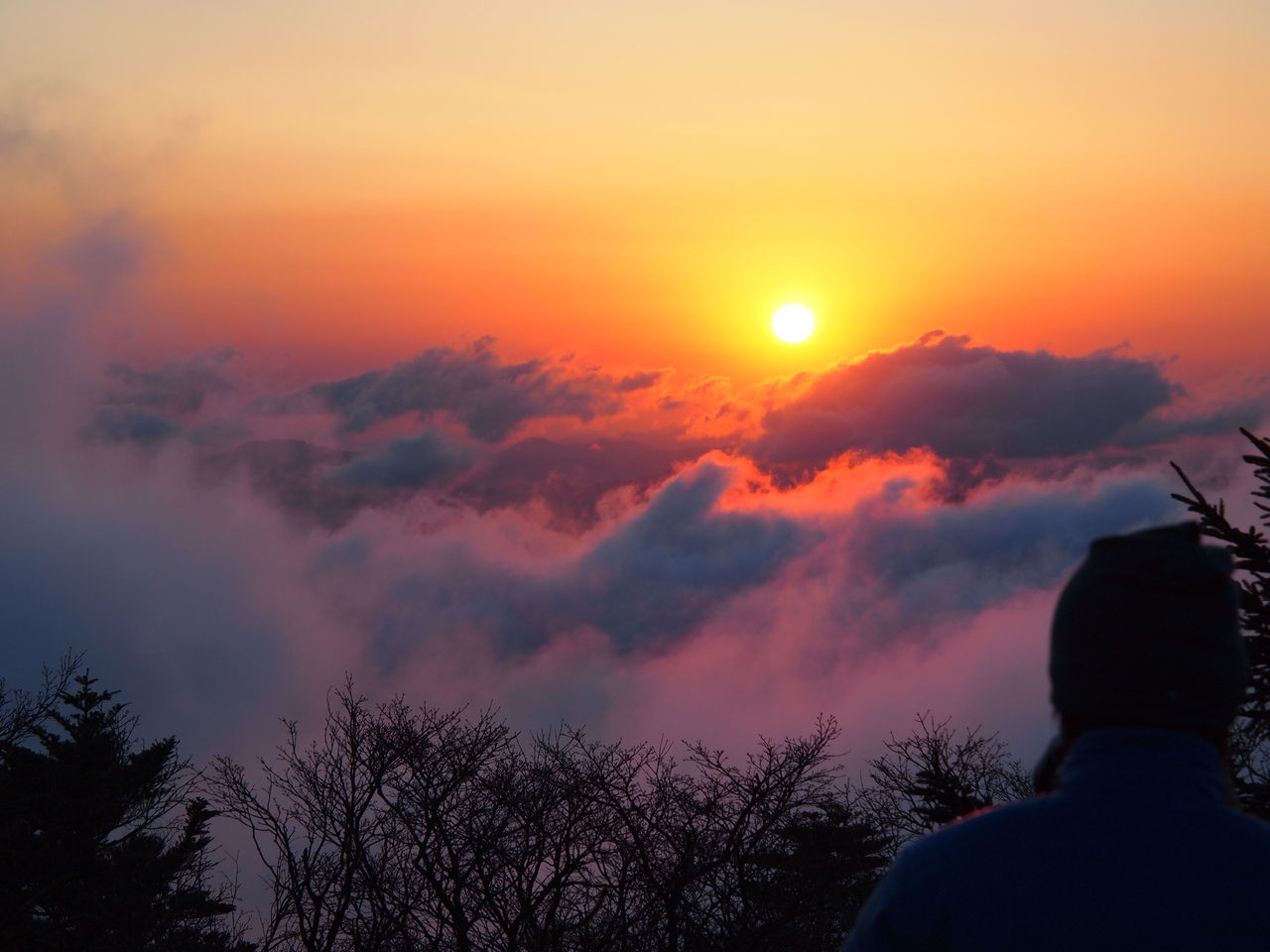 山をなめるな 神々の山嶺をめざして 最終回 八経ガ岳に散る 院長のこつこつブログ