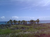 b75ff775.jpg