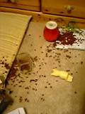 04-10-06_23-45.jpg
