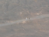 f5a1c642.jpg