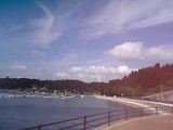05-08-16_09-23.jpg