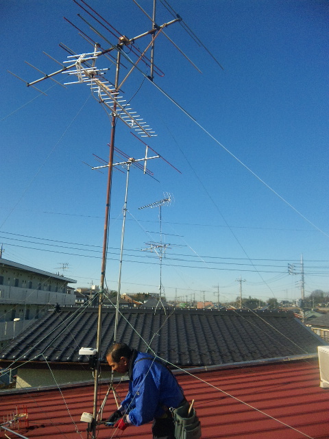 3847035e.jpg