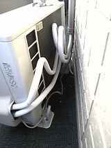 43251193.jpg