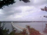 05-08-16_10-43.jpg