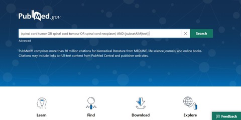 PubMed画面