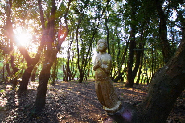 コピー (1) ~ コピーIMG_6008_1_layer_copy_1_1