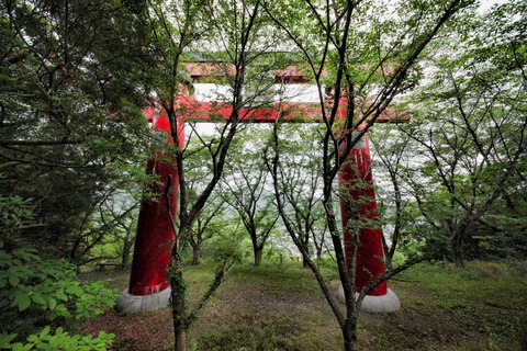 01 IMG_3614_1