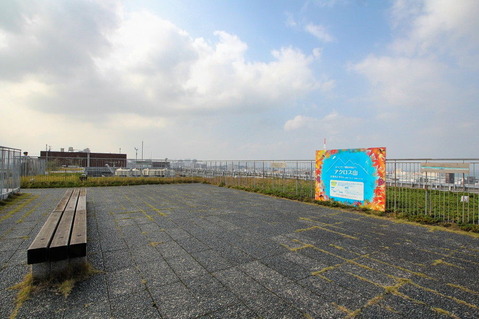 コピー (1) ～ IMG_8204_1