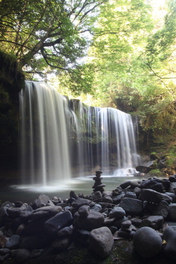 097f013d.jpg