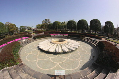 0aaf0211.jpg