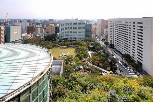 コピー (1) ～ IMG_8207_1