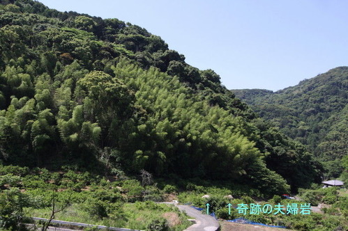 109735cc.jpg