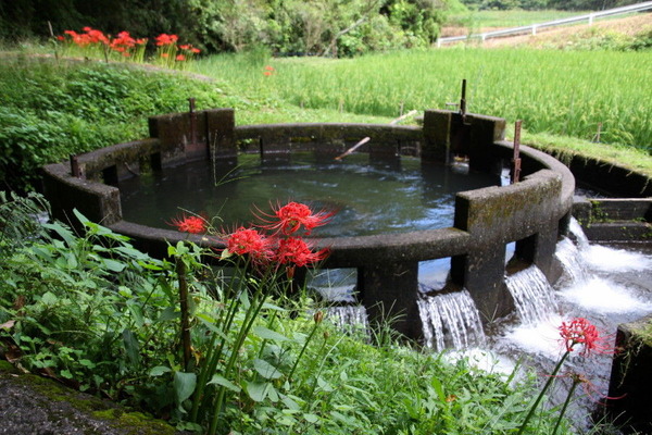 コピー (1) ～ IMG_5618_1_1