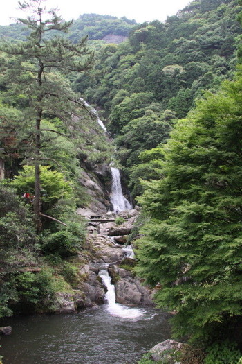 15aa0080.jpg