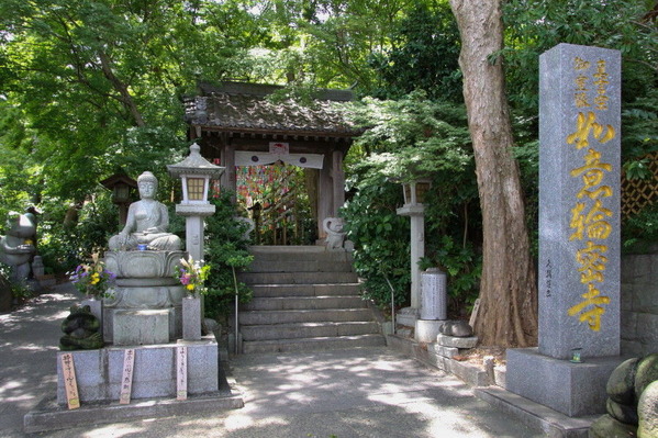 コピー (1) ～ コピー (1) ～ IMG_5117_1_1