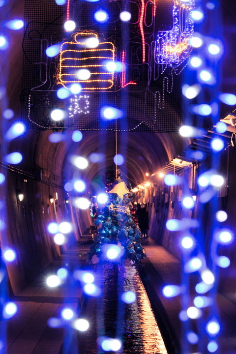 コピー (1) ~ IMG_0340_1