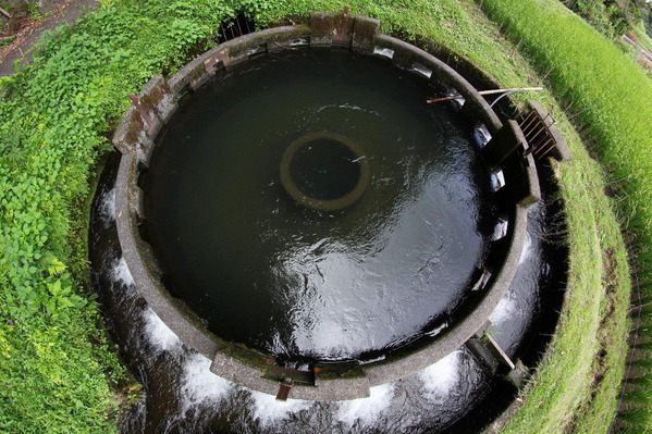 コピー (1) ～ IMG_7854_1_1