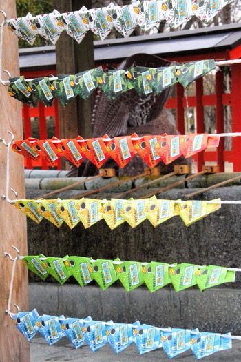 IMG_8945_1