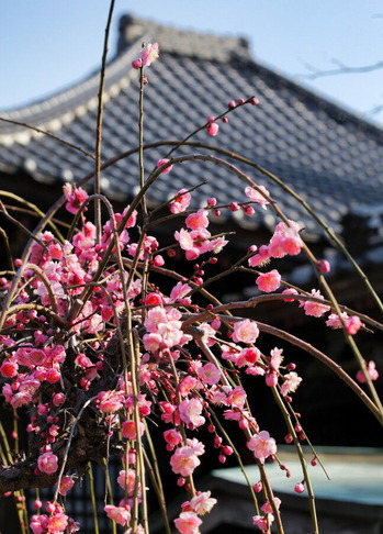 10 IMG_8640_1