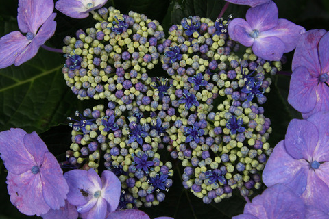 コピー (1) ～ IMG_3937_1