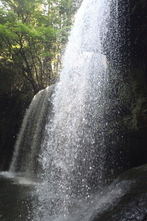 25010ca8.jpg