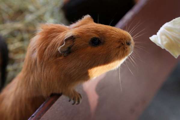 コピー (1) ～ IMG_0610_1_1