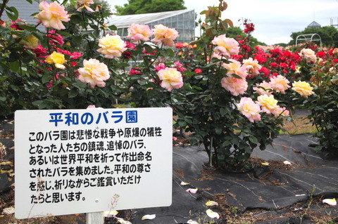 03IMG_4893_1