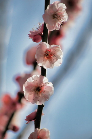 17IMG_8659_1
