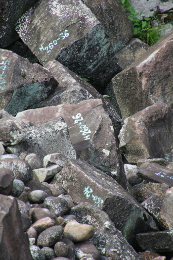 09 IMG_9105_1