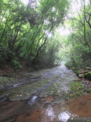 3967719e.jpg