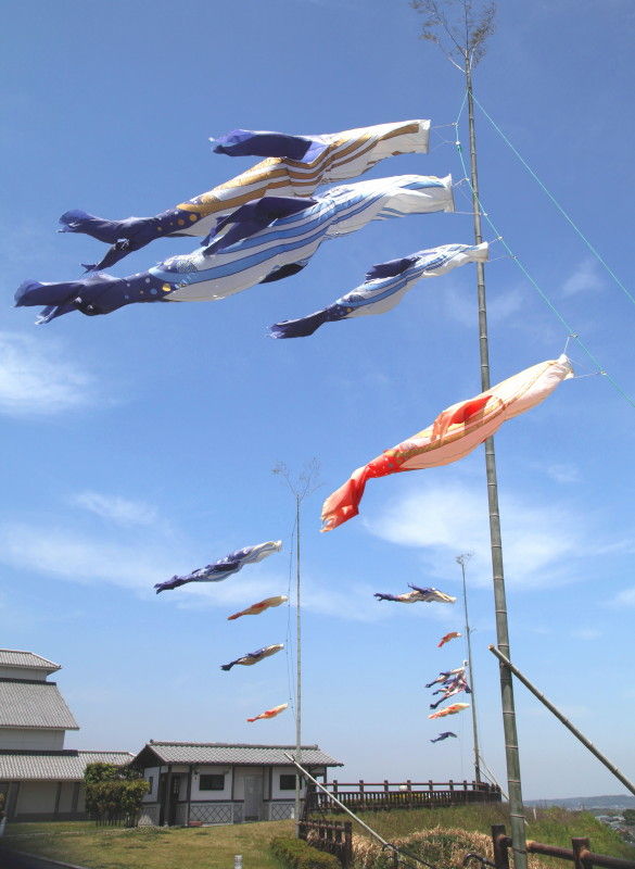 くじら のぼり