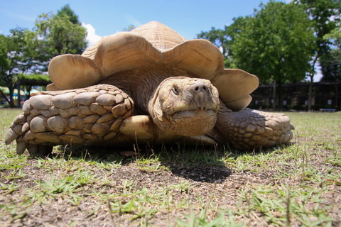 02 コピー (1) ～ IMG_4026_1