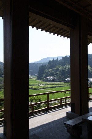 3f35e321.jpg