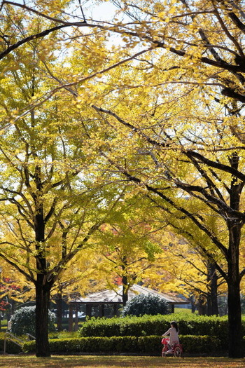 05IMG_6874_1