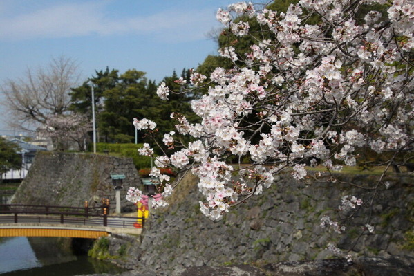 IMG_6951_1_1