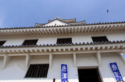 4492b301.jpg