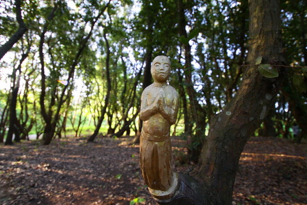 コピー (1) ~ IMG_6007_1