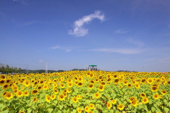 455f2c02.jpg