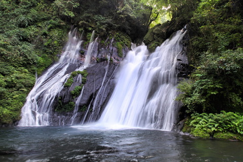 コピー (1) ～ IMG_5633_1_1