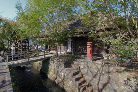 46ff69a9.jpg