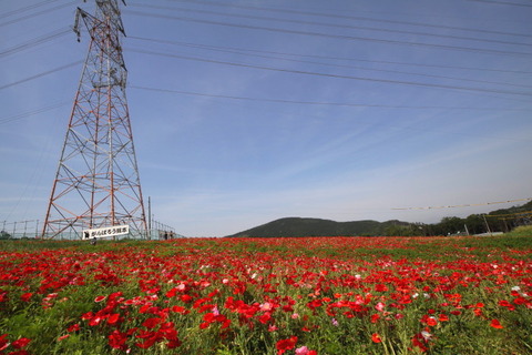 コピー (1) ～ コピー (1) ～ IMG_3777_1