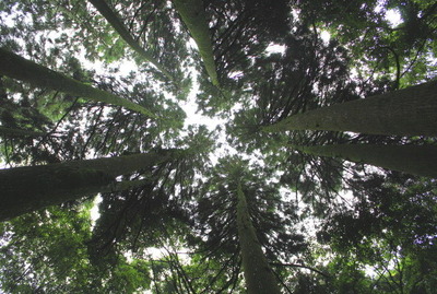 4a057d0f.jpg