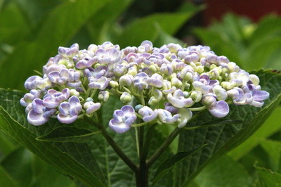 4a8146cc.jpg