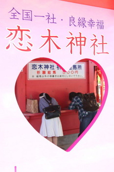 4b6b0675.jpg