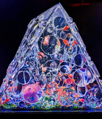 コピー (1) ~ IMG_20191207_100337_1